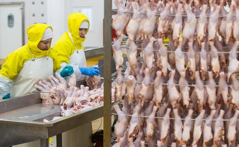 
                    ФАС сообщила о снижении оптовых цен на курицу

                